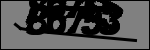 متن برای شناسایی