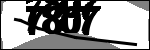 متن برای شناسایی
